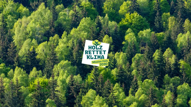 Nachhaltig bauen – Holz als Baustoff